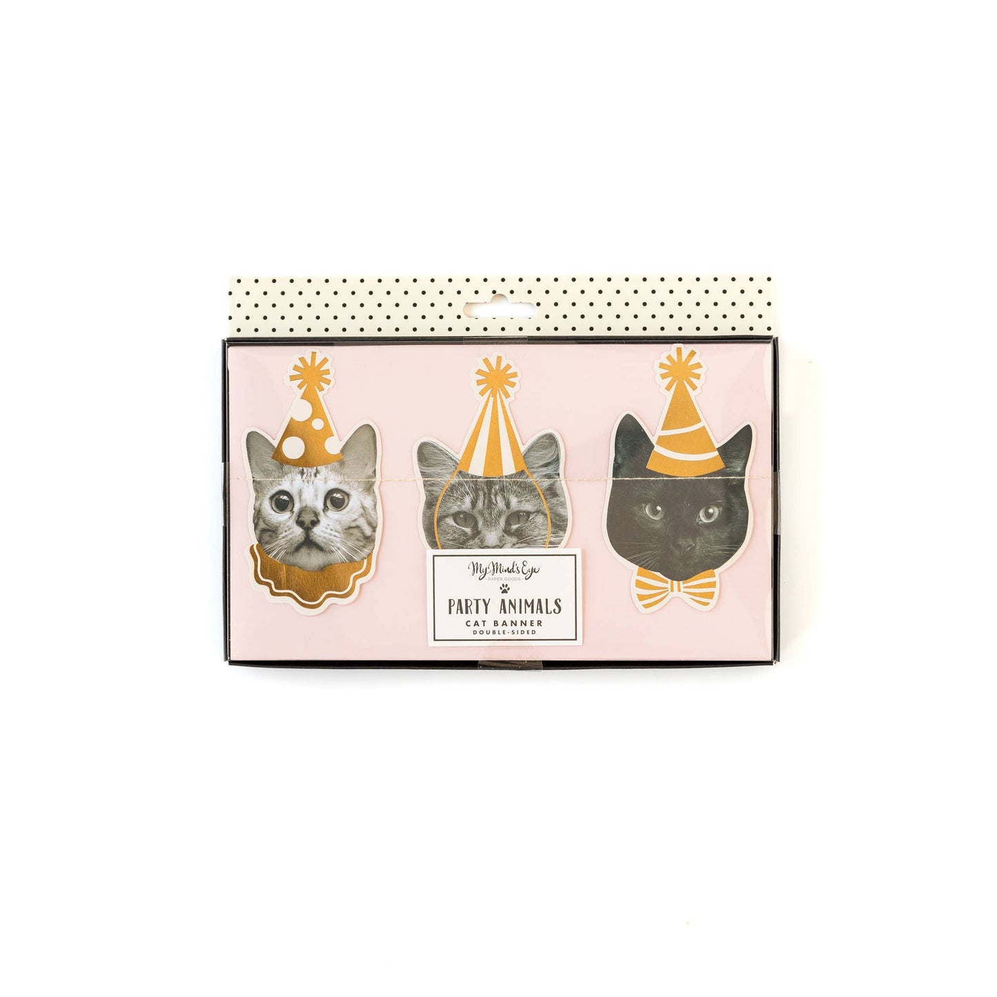 Party Cat Banner | My Mind's Eye