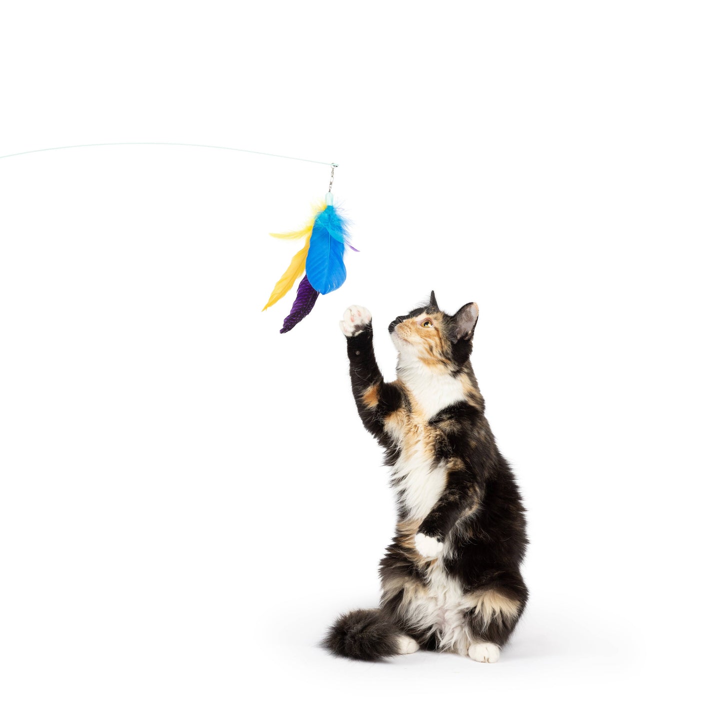 Purple Fishy Feather Teasers 2pk Refill Cat Toy: One Size