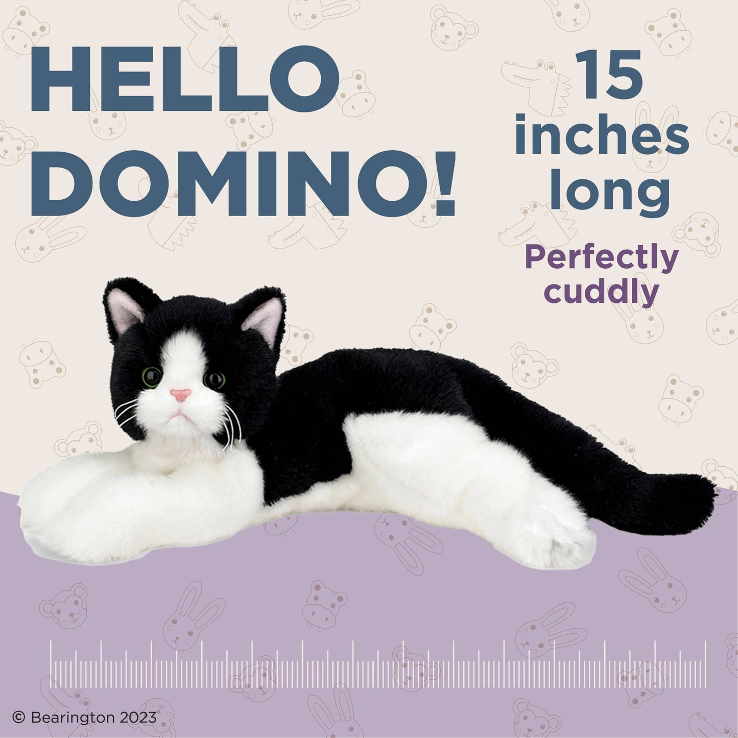 Domino the Black & White Cat