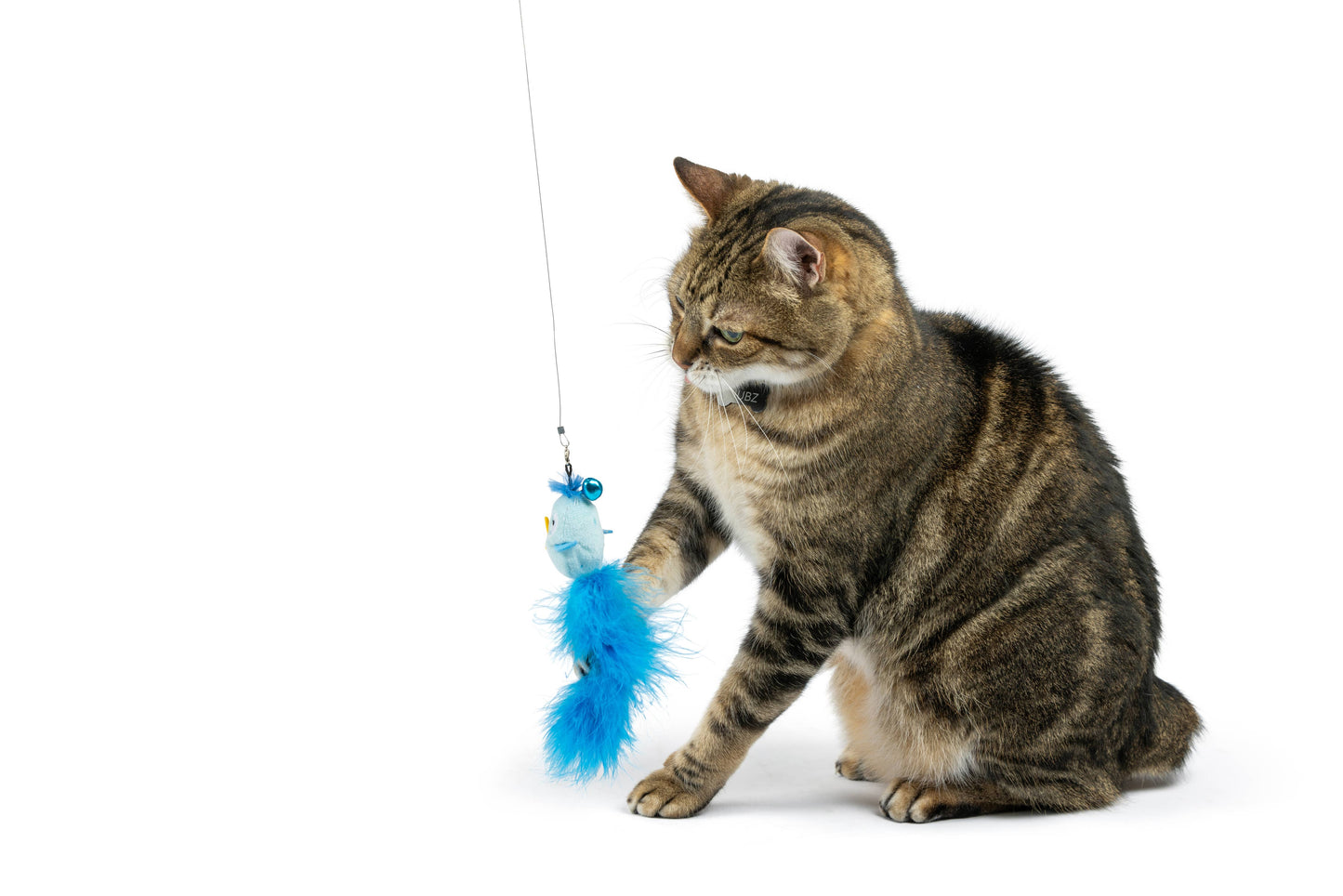 Blue Birdy Feather Teasers 2pk Refill Cat Toy: One Size