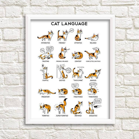 8'' x 10'' Cat Language Art Print