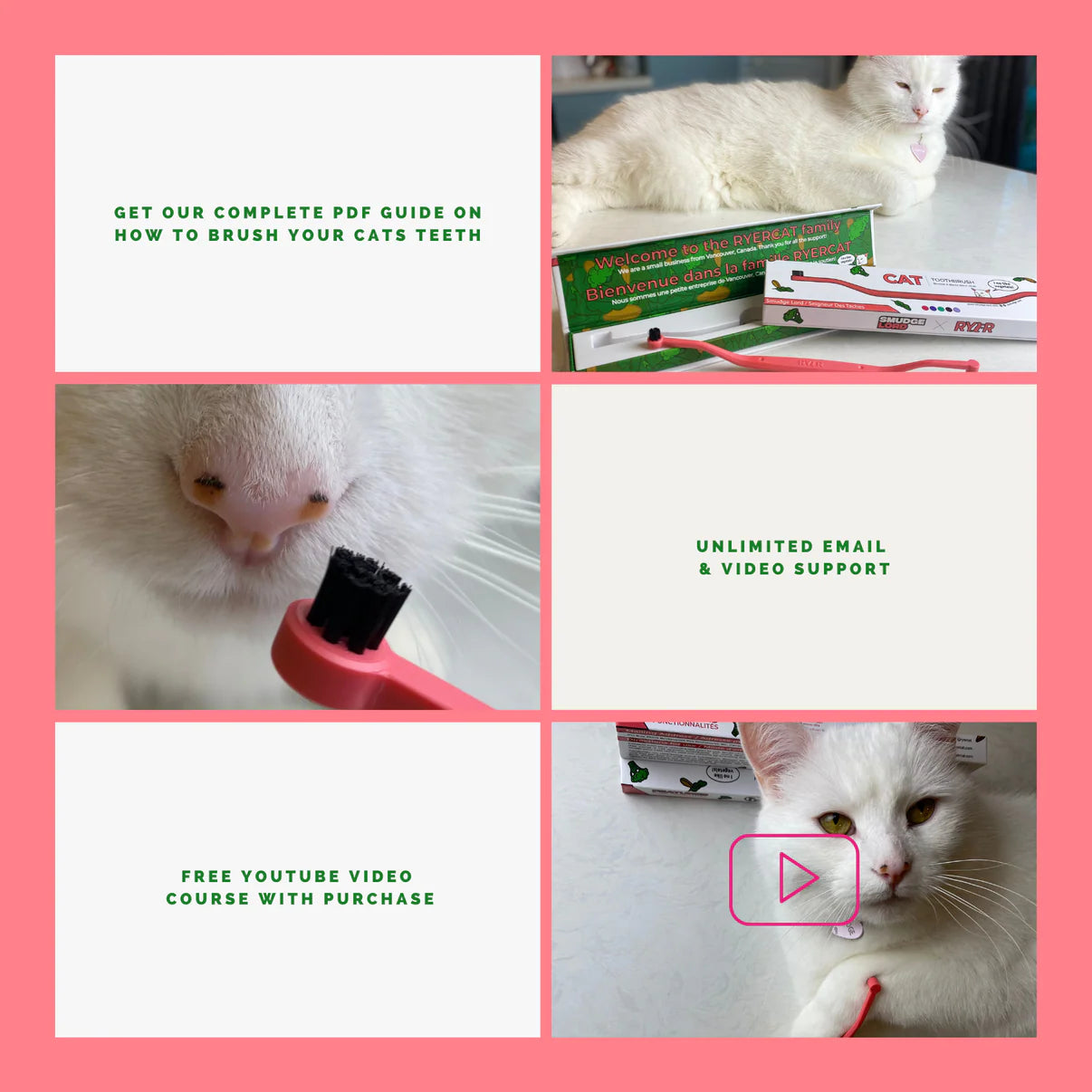 Dual Sided Cat Toothbrush - RYERCAT