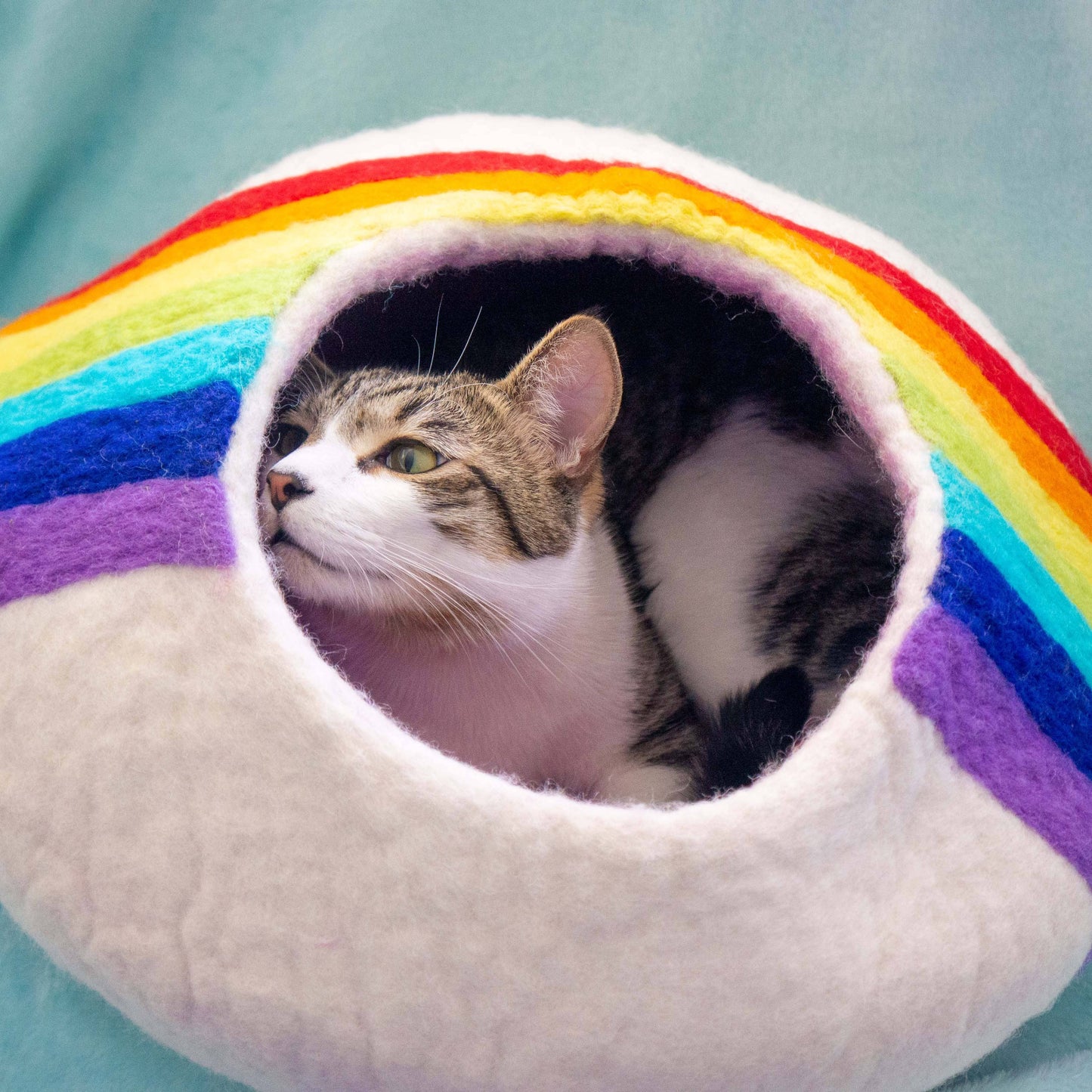 Rainbow Eco Kitty Cave - Cat Cave: With Bag