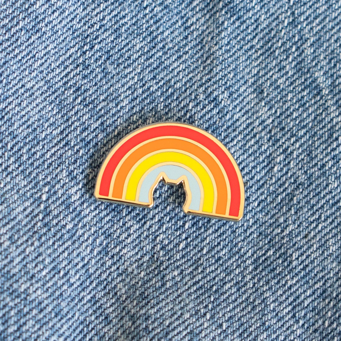 Cat Rainbow Pin