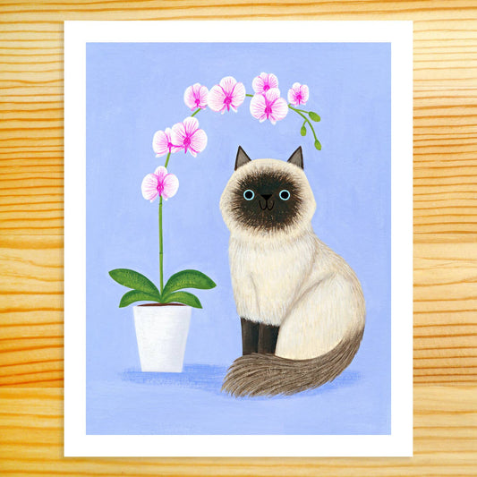 Himalayan Cat & Orchid - 8x10 Art Print