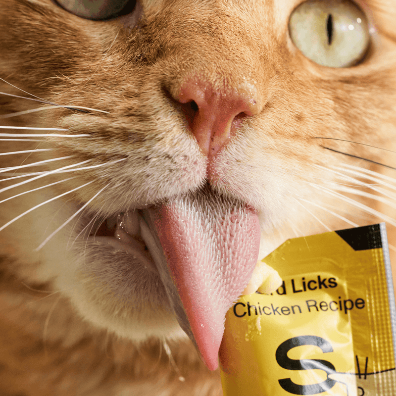 👅 Bird Licks Supports Digestion - Chicken (8 pack)