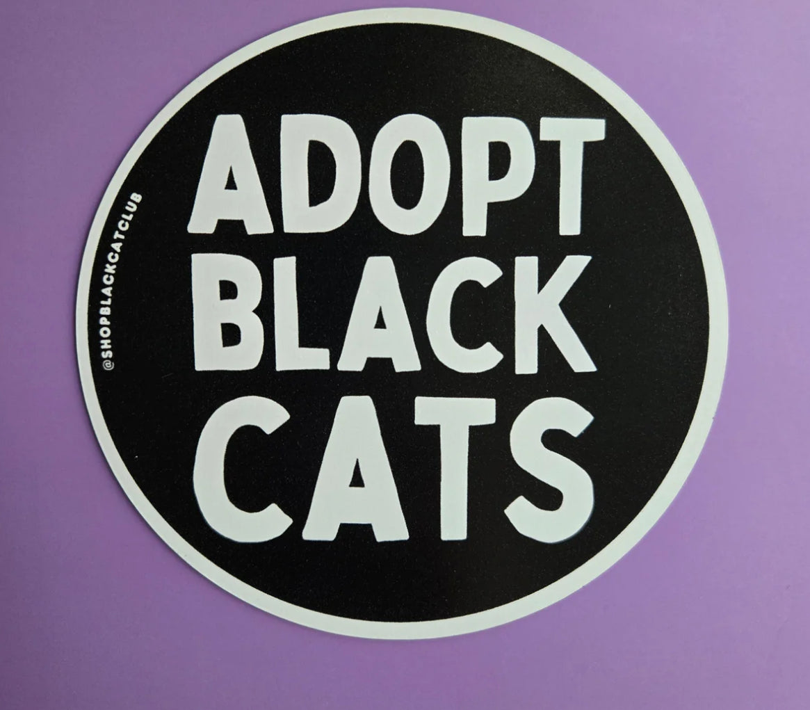 Adopt Black Cats Bumper Magnet 5"