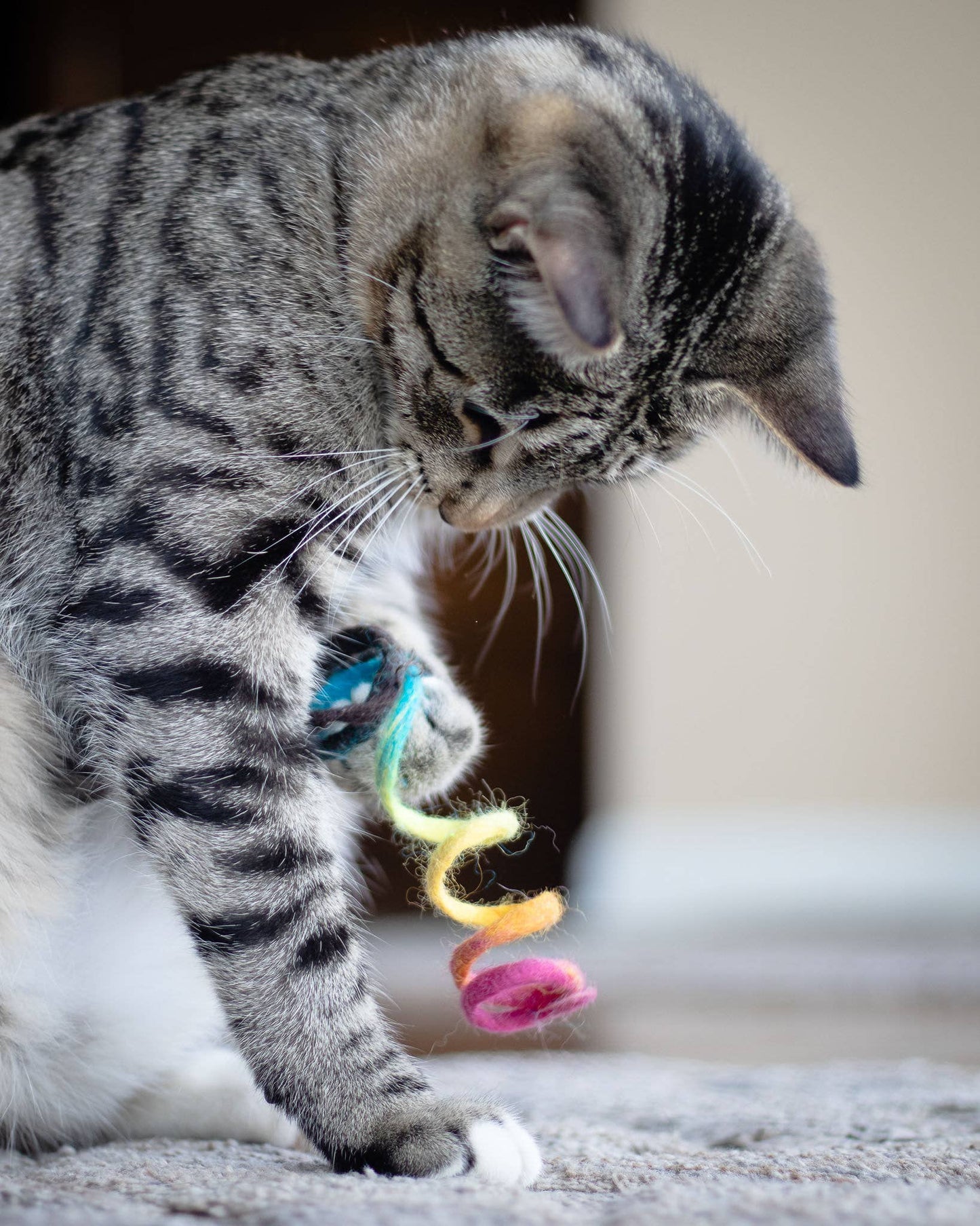 Spring Eco Toy