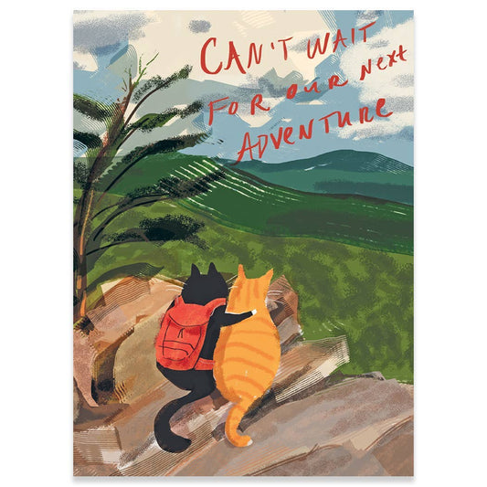 Cat Adventure Anniversary Greeting Card