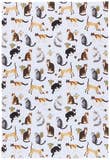 Cat Collective Bakers Floursack Dishtowels Set of 3