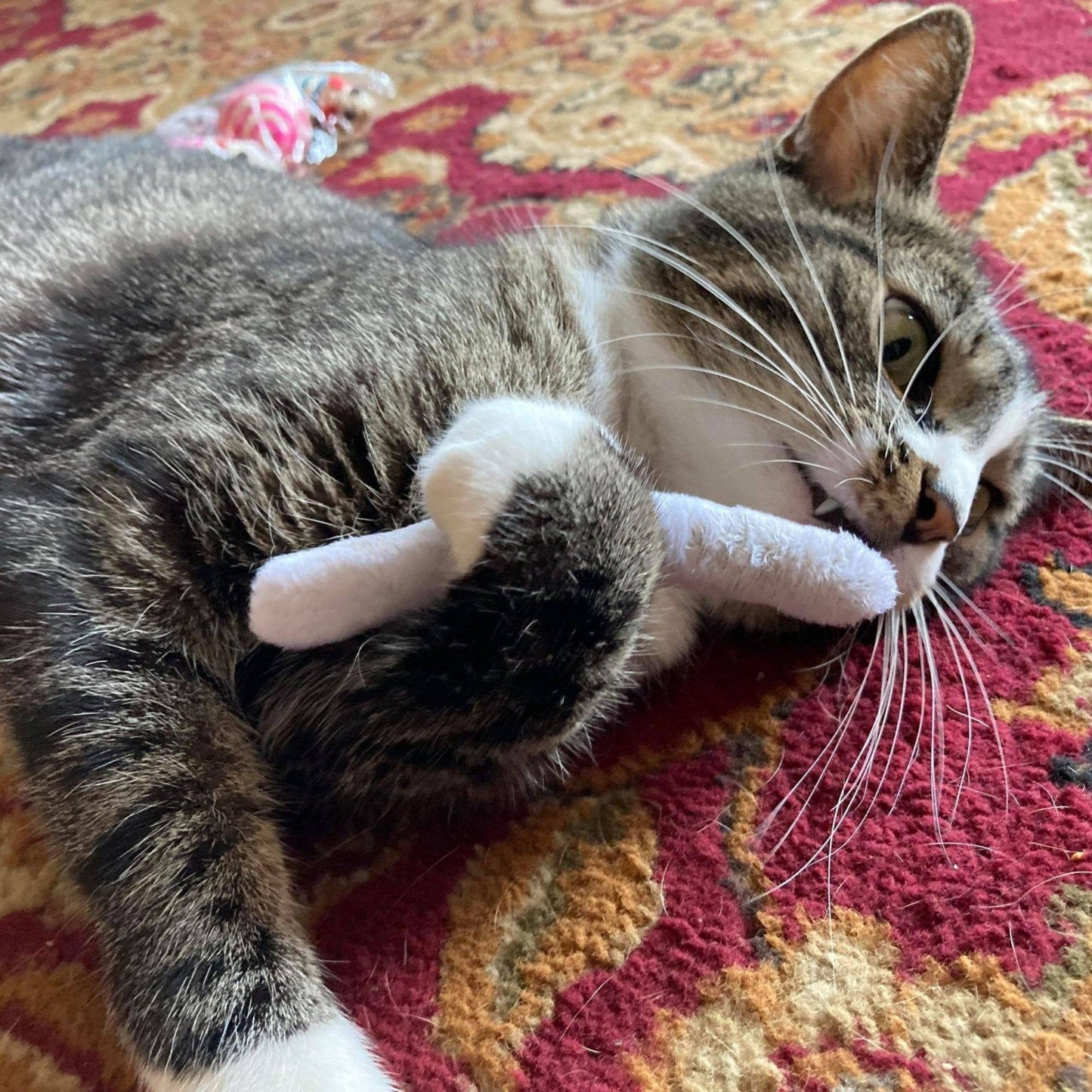 Smokey's Stash Catnip Pre Rolled Joints (5 Pack)