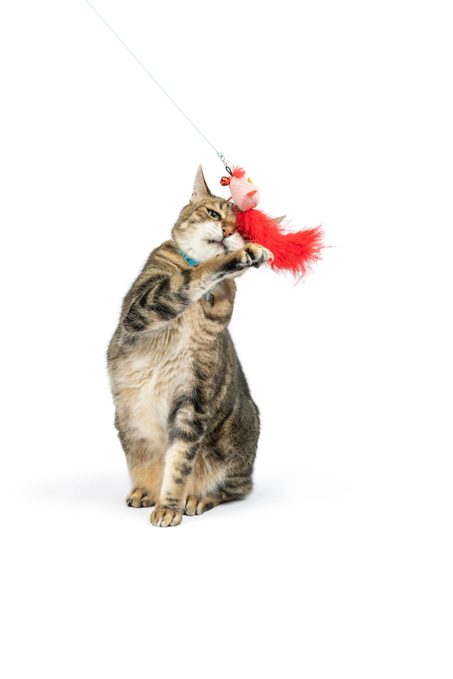 Wire Birdy & Mouse Wand Cat Toy: One Size