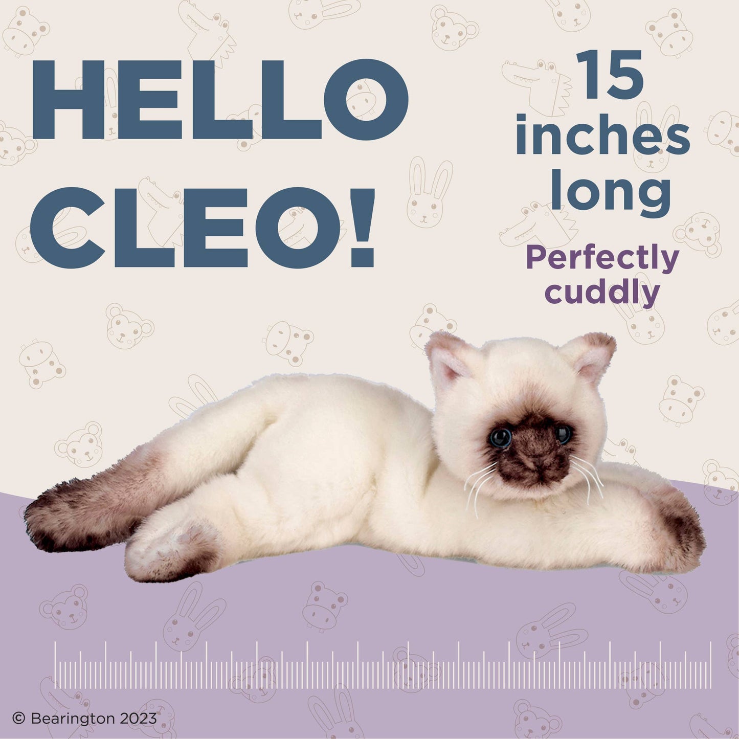 Cleo the Siamese Cat