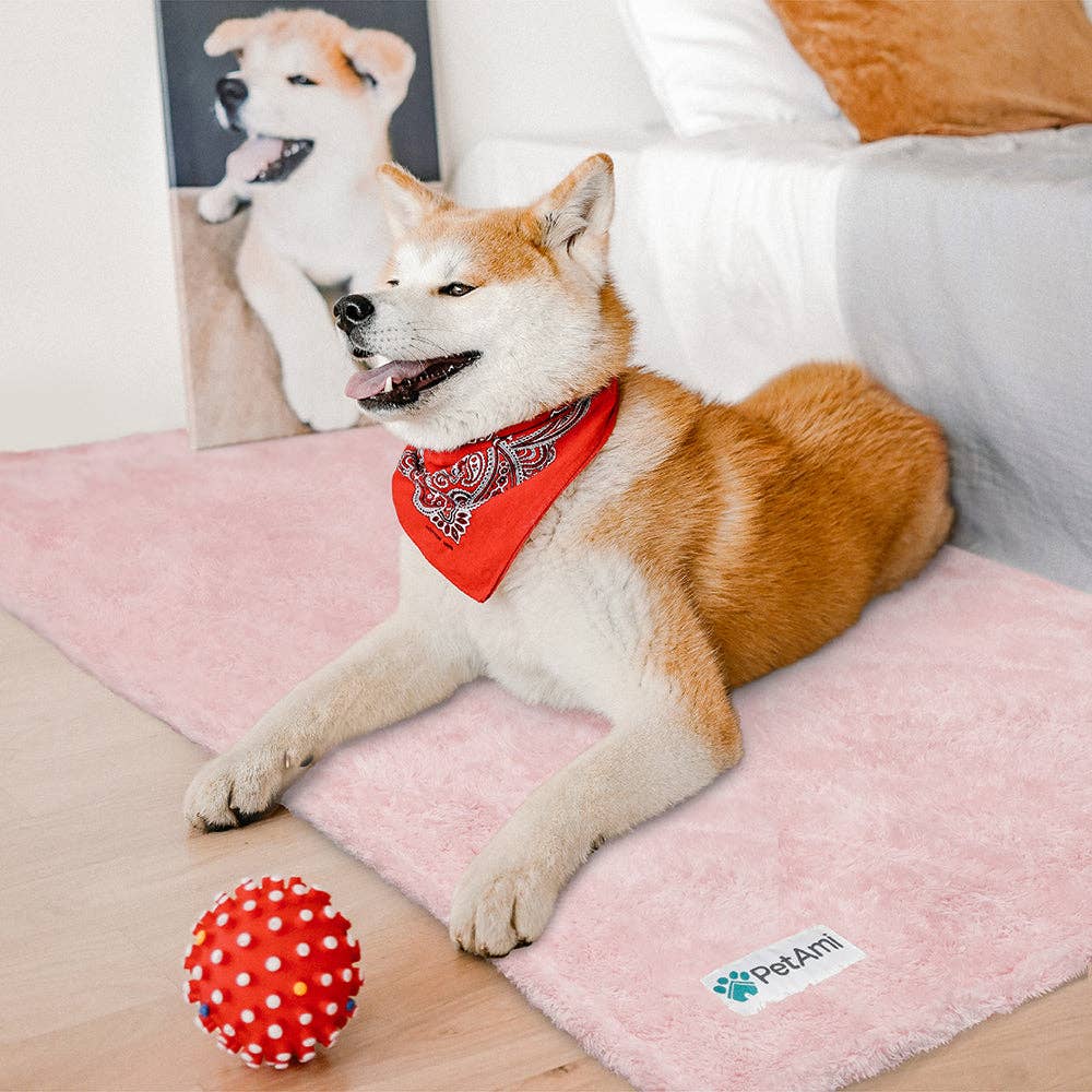 Fluffy Pet Blanket: Beige / Medium - 29" x 40"