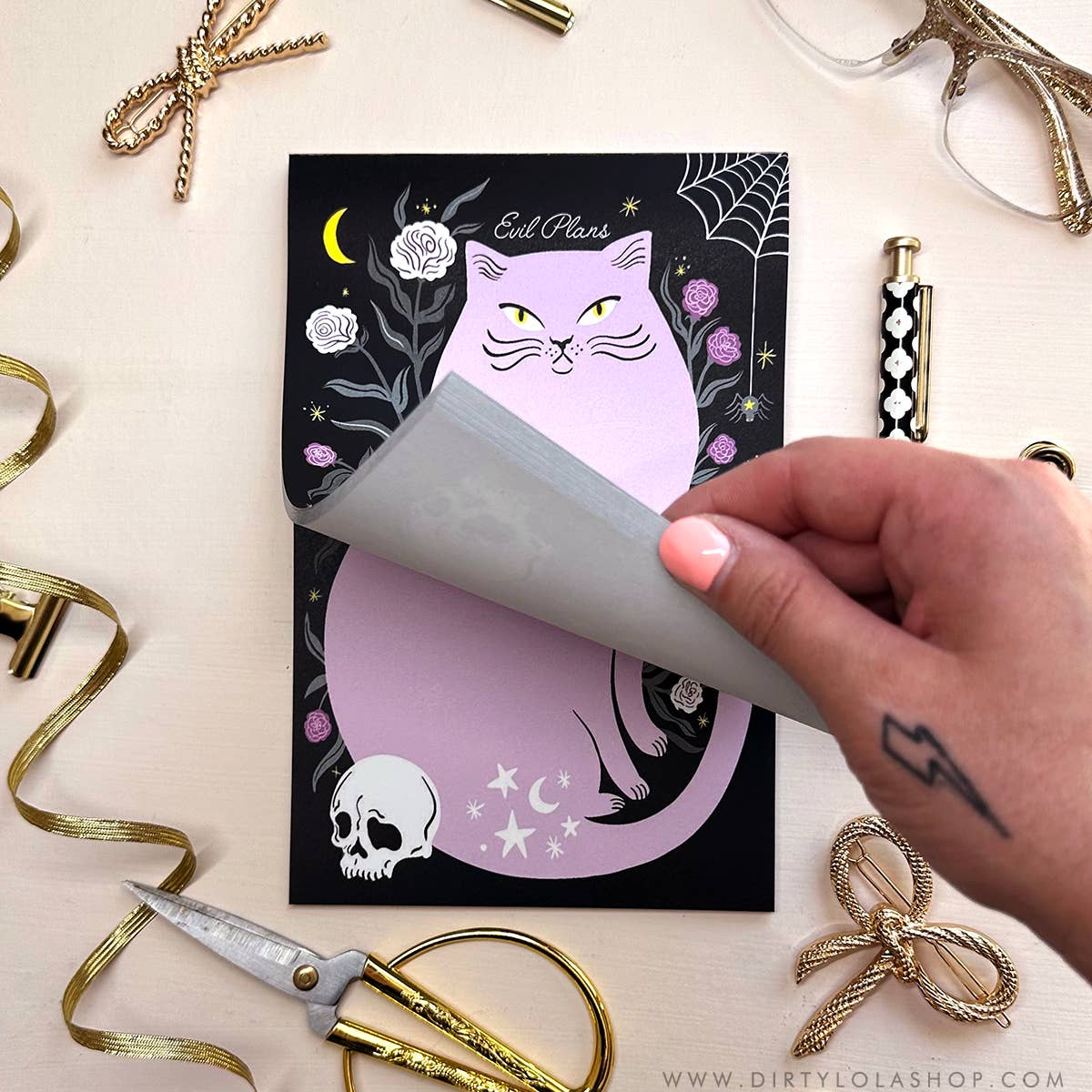 EVIL PLANS CAT NOTEPAD