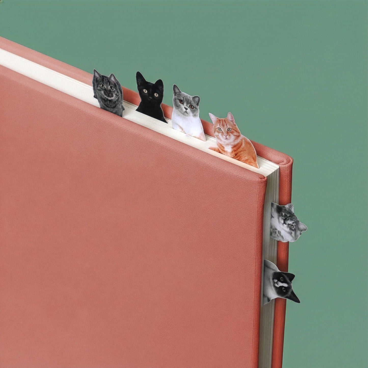 Cat Page Markers | Cute Sticky Tabs for Readers