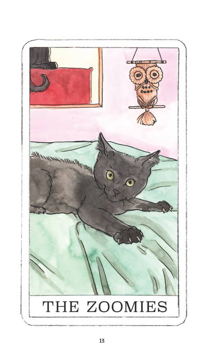kittenページ Kitten Oracle – Purrgatory