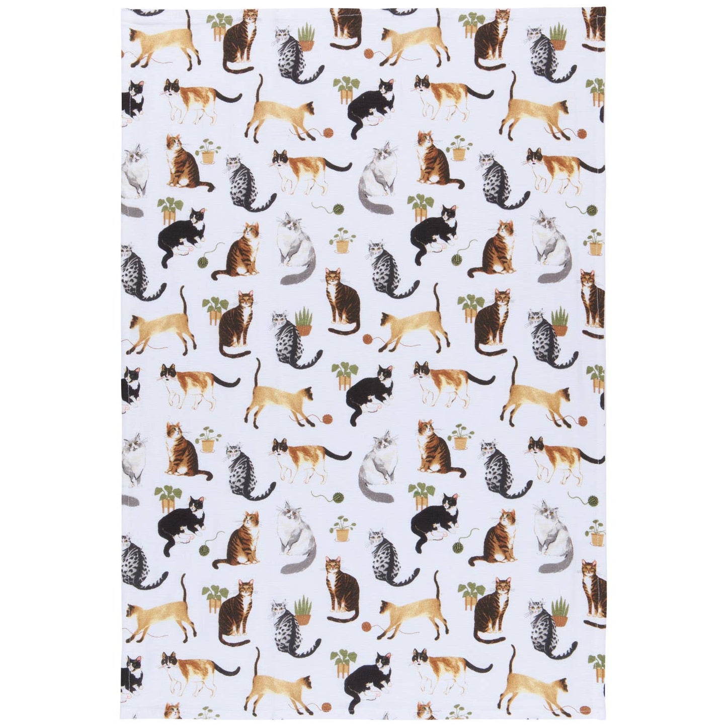 Cat Collective Bakers Floursack Dishtowels Set of 3