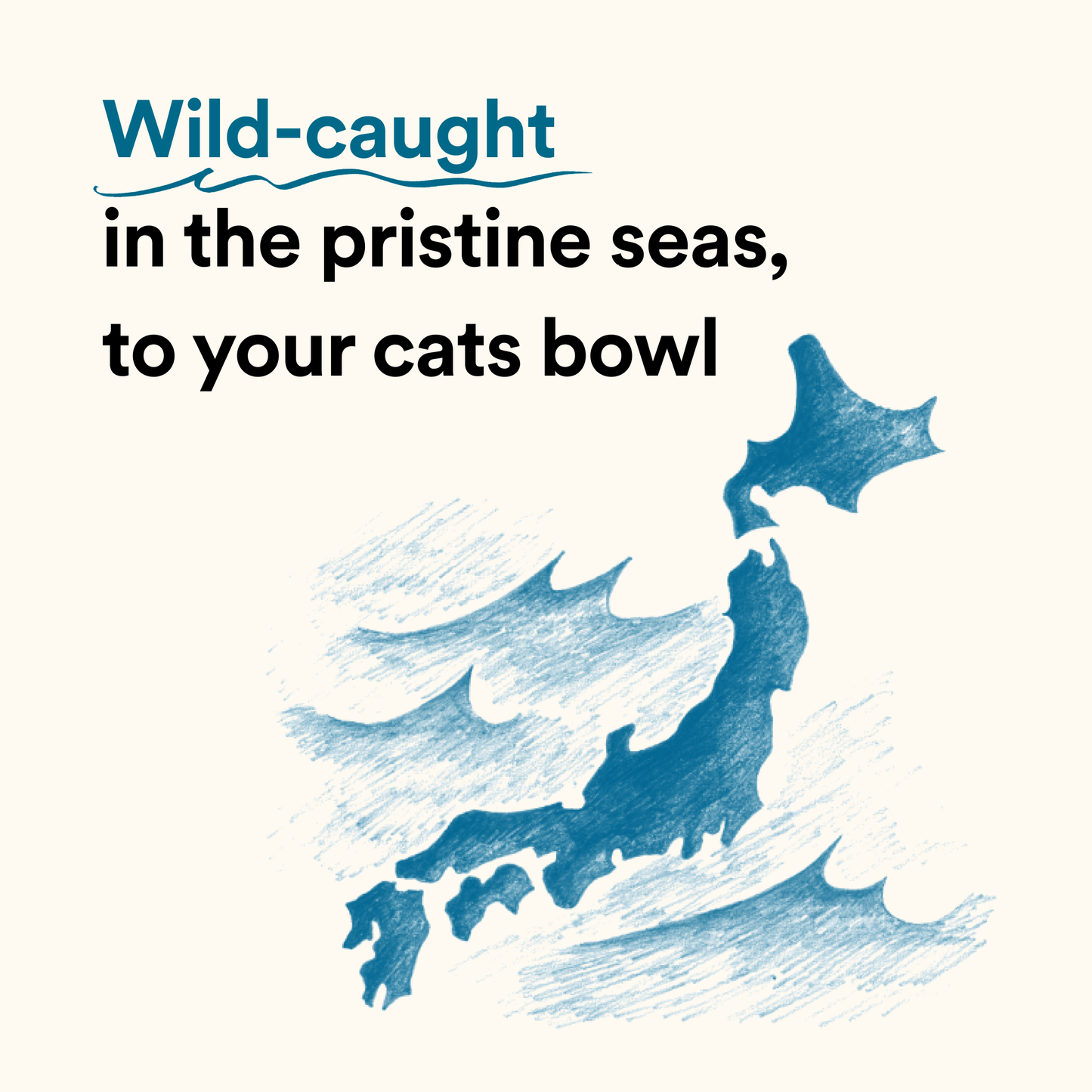 Umami Meal Topper: Bonito Flakes Treat for Cats and Dogs