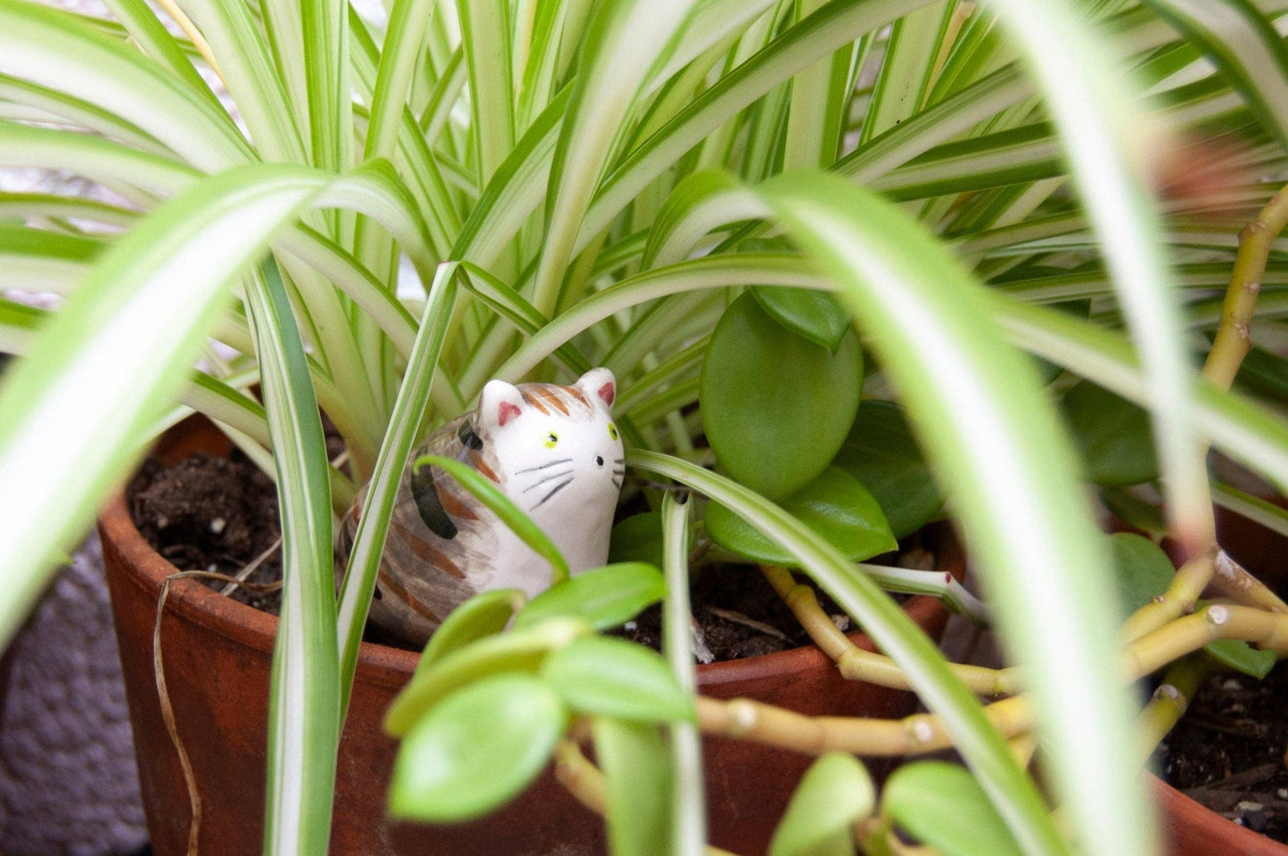 Cat Decorative Object