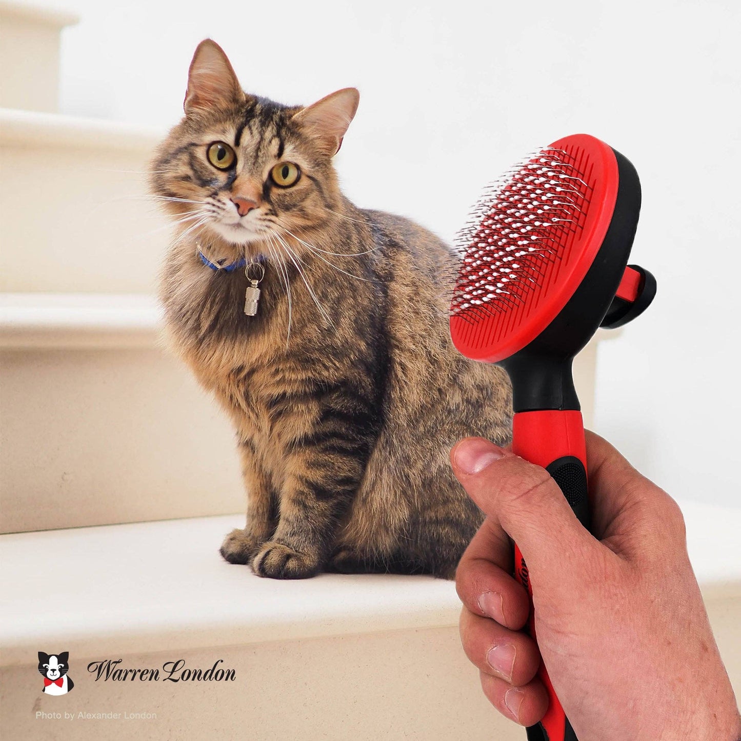 Cat De-Tangling Pin Brush for Grooming & Shedding