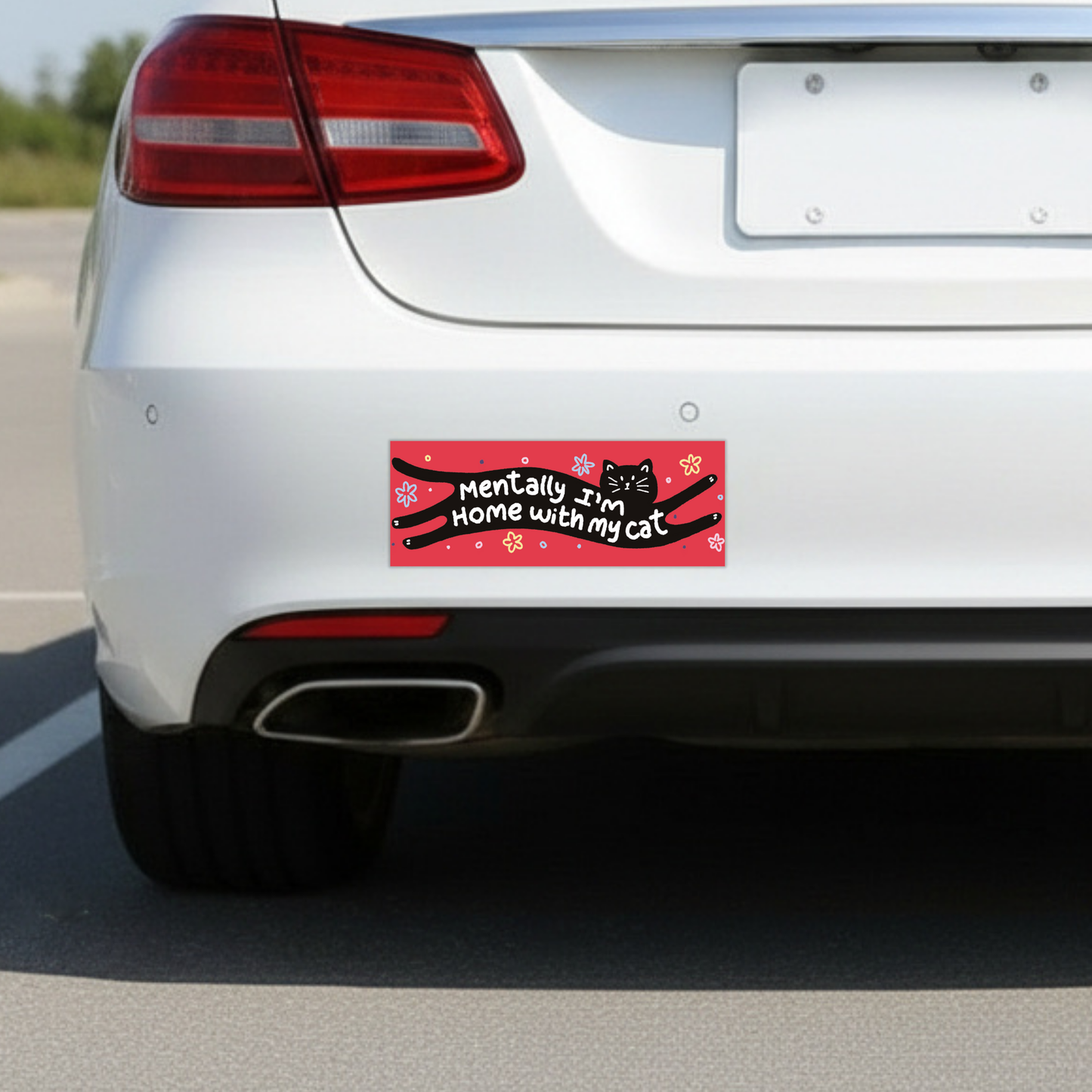 Mentally I'm Home With My Cat | Funny Car Magnet