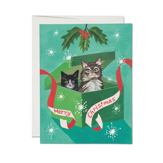 Meowy Christmas Card BLANK INSIDE