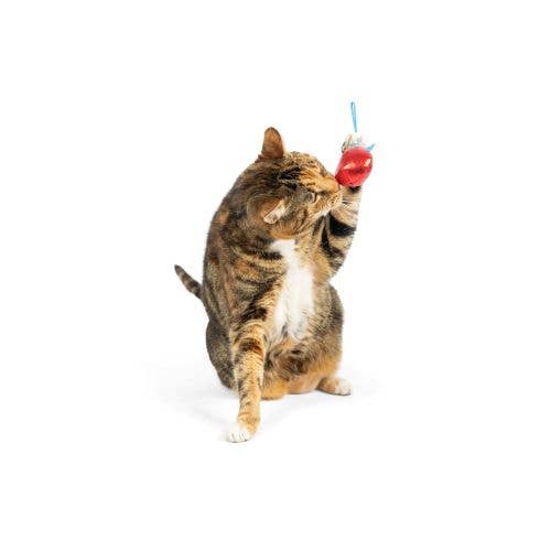 1 Ornament (Asstd. Colors) Flinger Cat Toy: One Size