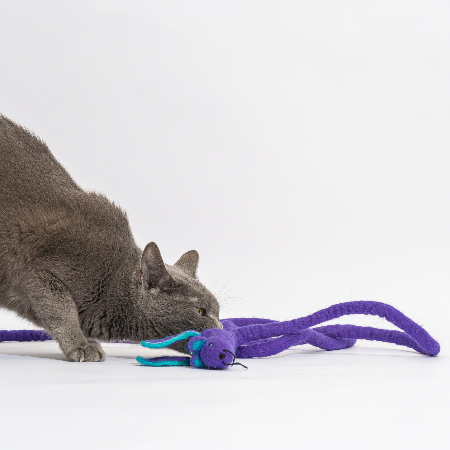 Wool Mouse Cat Toy 6-Foot-Tail - red rainbow unicorn dragon: Purple dragon
