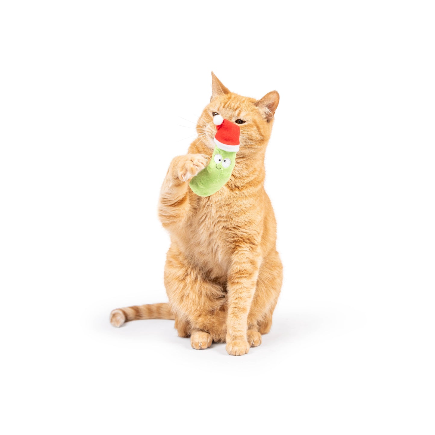 Dilly Claus Cat Toy