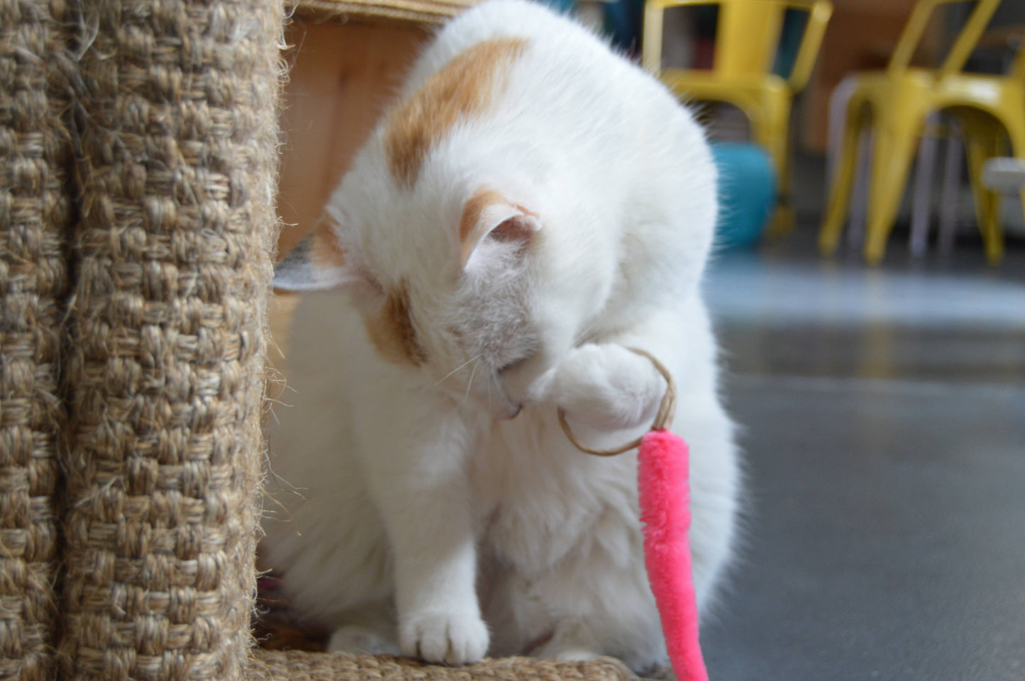 A-Lure-Ring - Ring with tail - Wand Attachment Toy