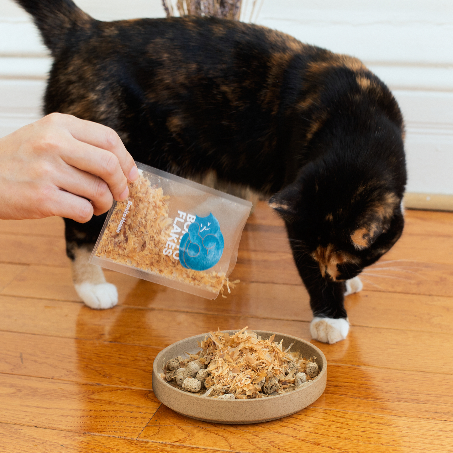 Umami Meal Topper: Bonito Flakes Treat for Cats and Dogs