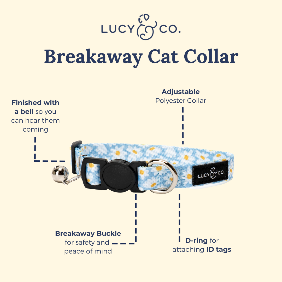 Simply Splendid Breakaway Cat Collar: L