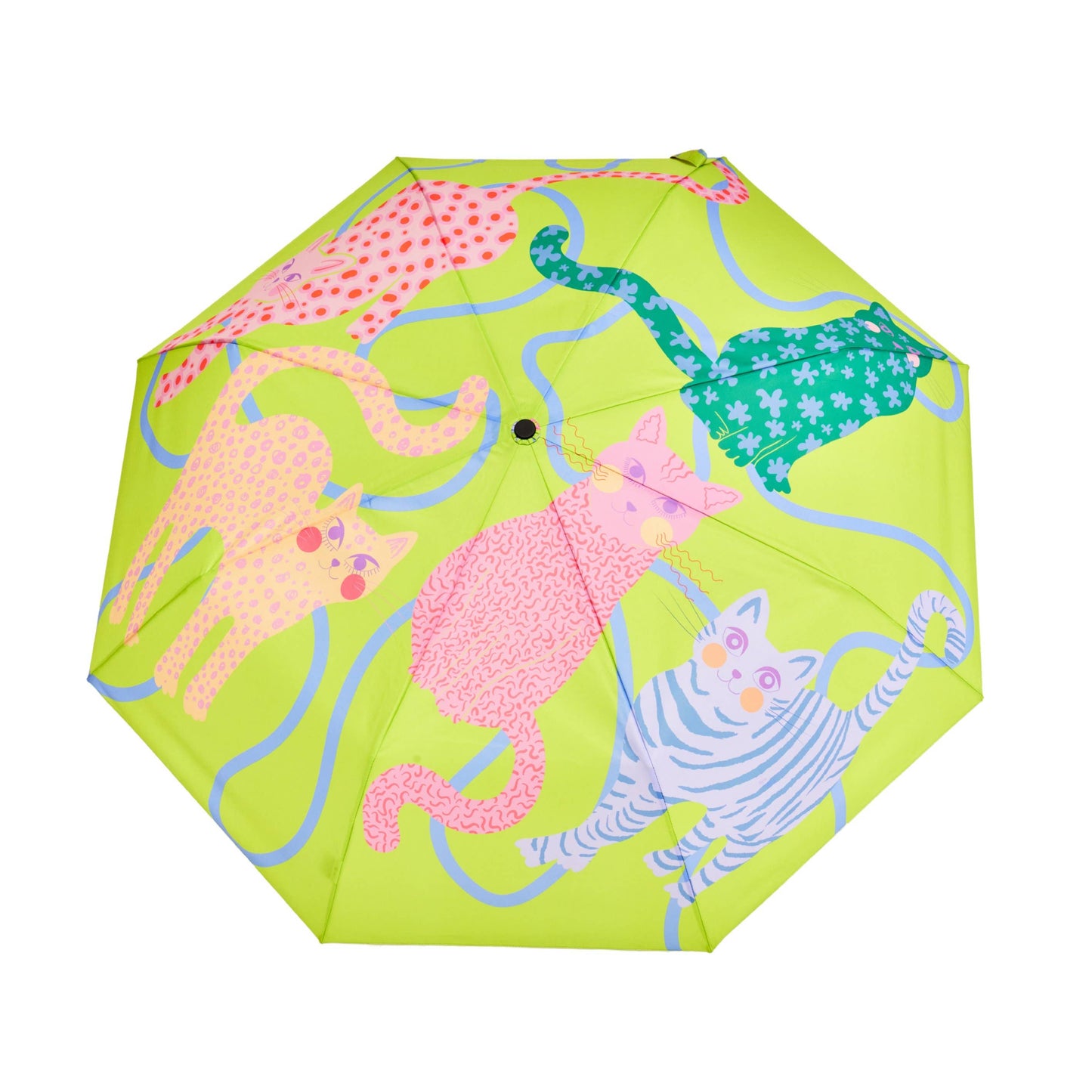 Lime Arty Cats Duck Umbrella