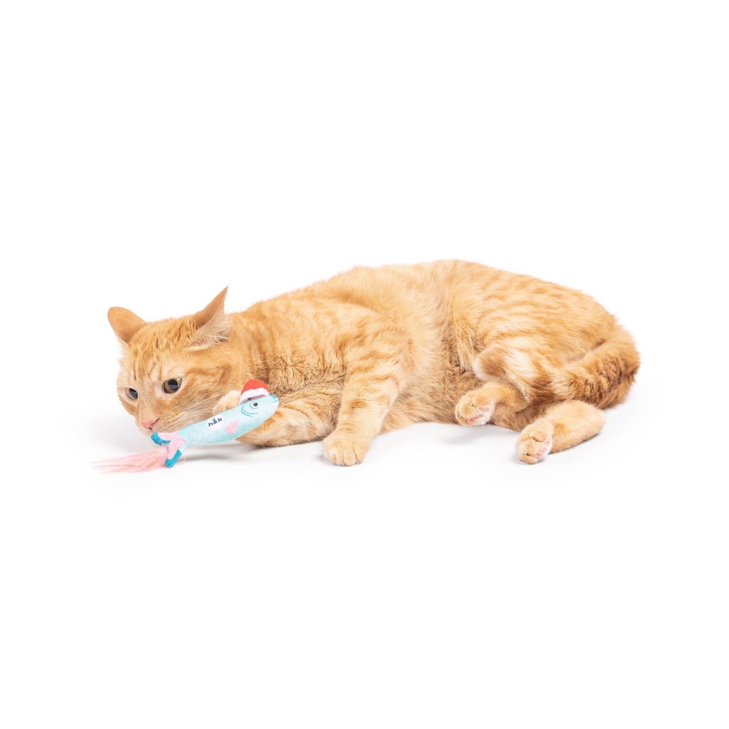 Merry Fishmas Sardine Mint Cat Toy: One Size