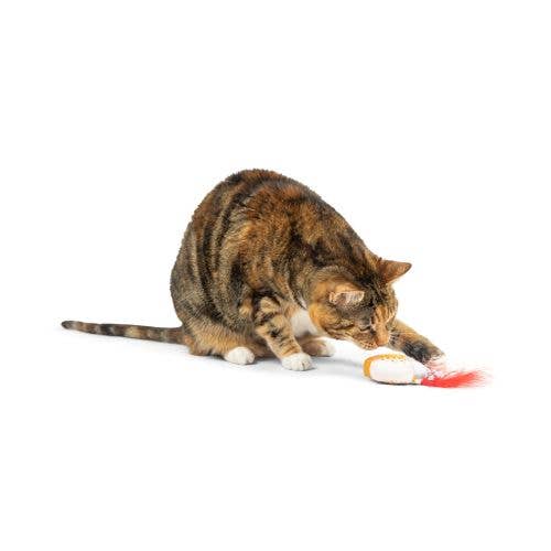 G-House Cat Toy: One Size