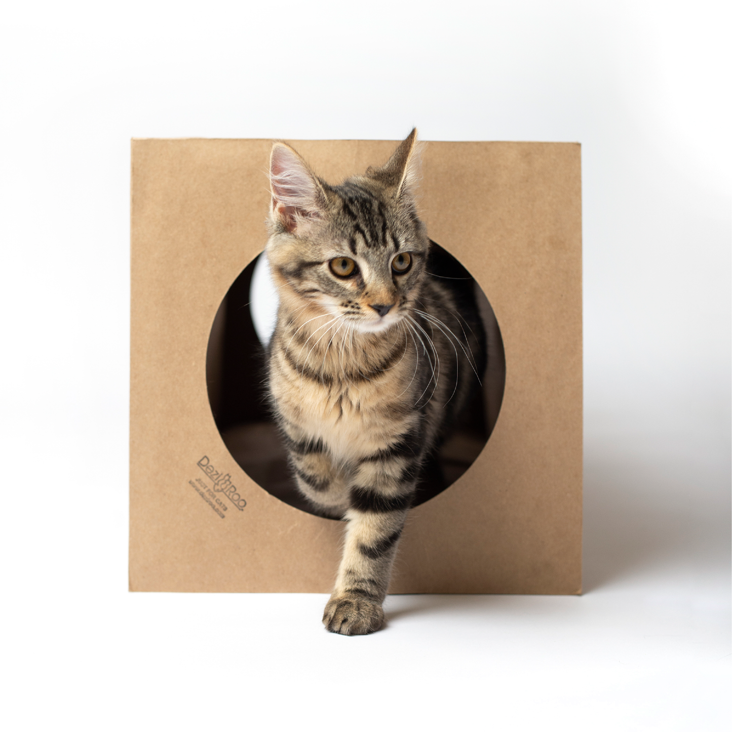 Hide and Sneak Tunnel - Paper Play Tunnel for Cats