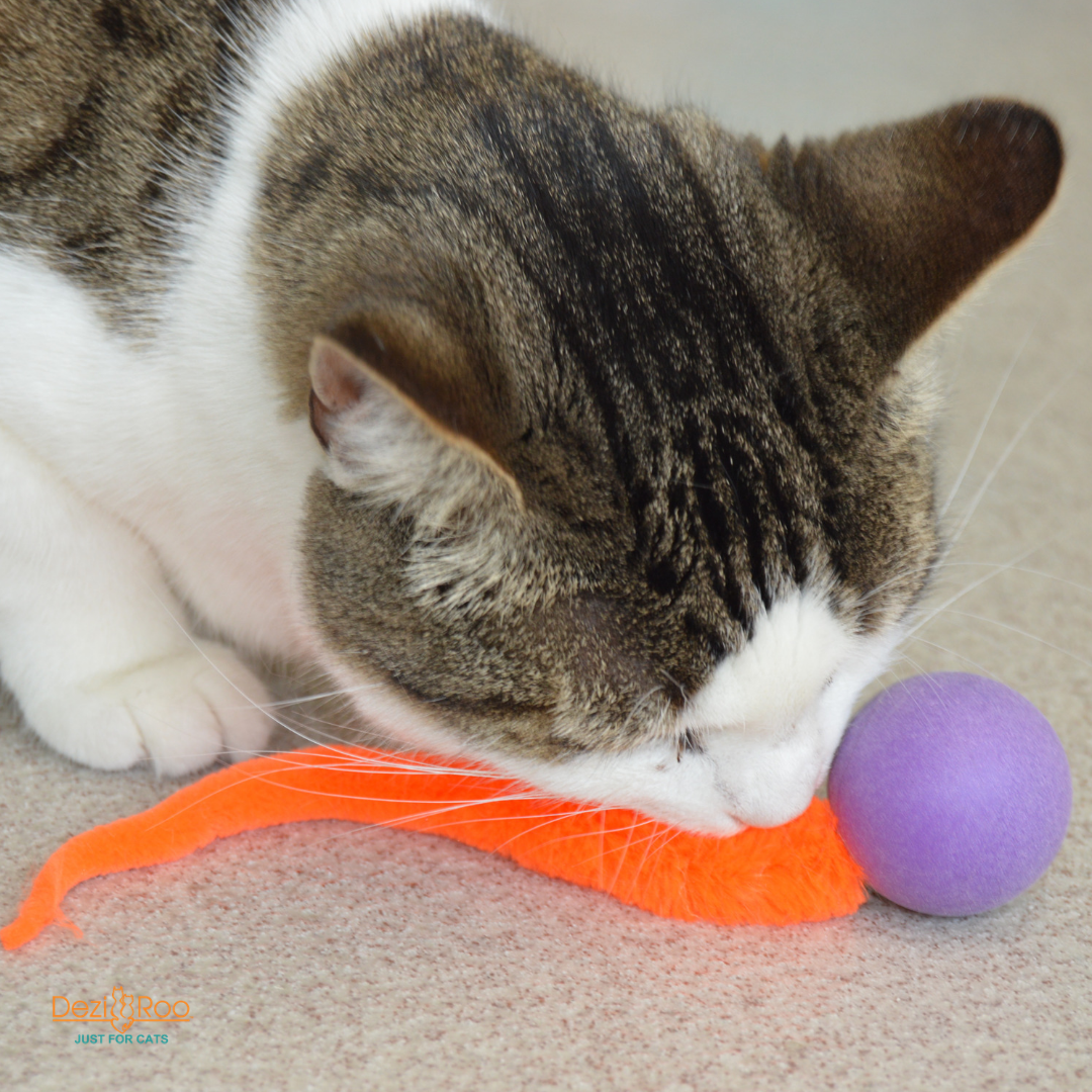 Wiggly Pong - Cat Toy Plastic Pong Ball: Enclosed in poly bag with 4x2 header card