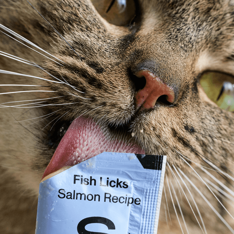 👅 Fish Licks Supports Digestion - Salmon (8 pack)