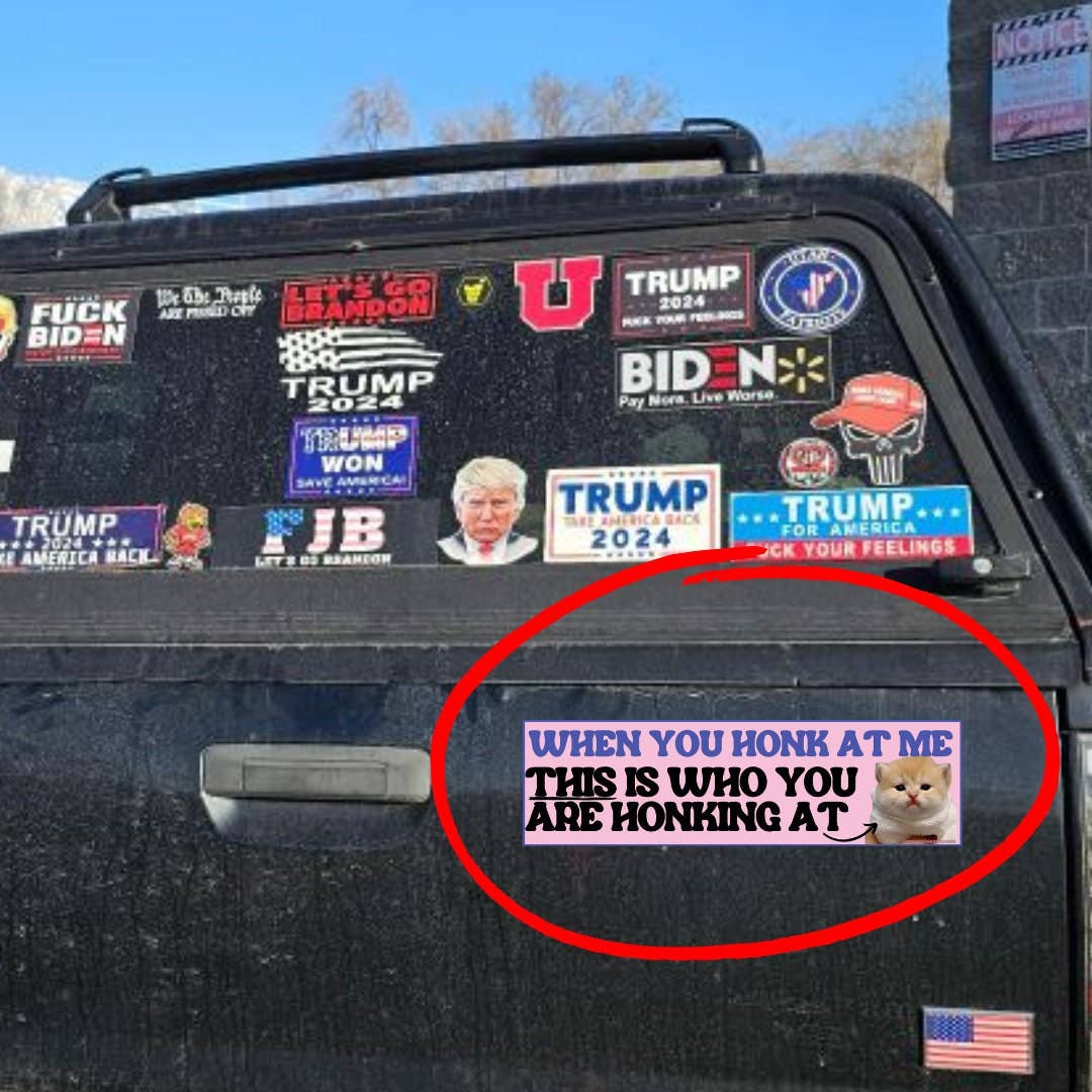 When You Honk at Me, This Is Who You Are Honking At Cat: Sticker
