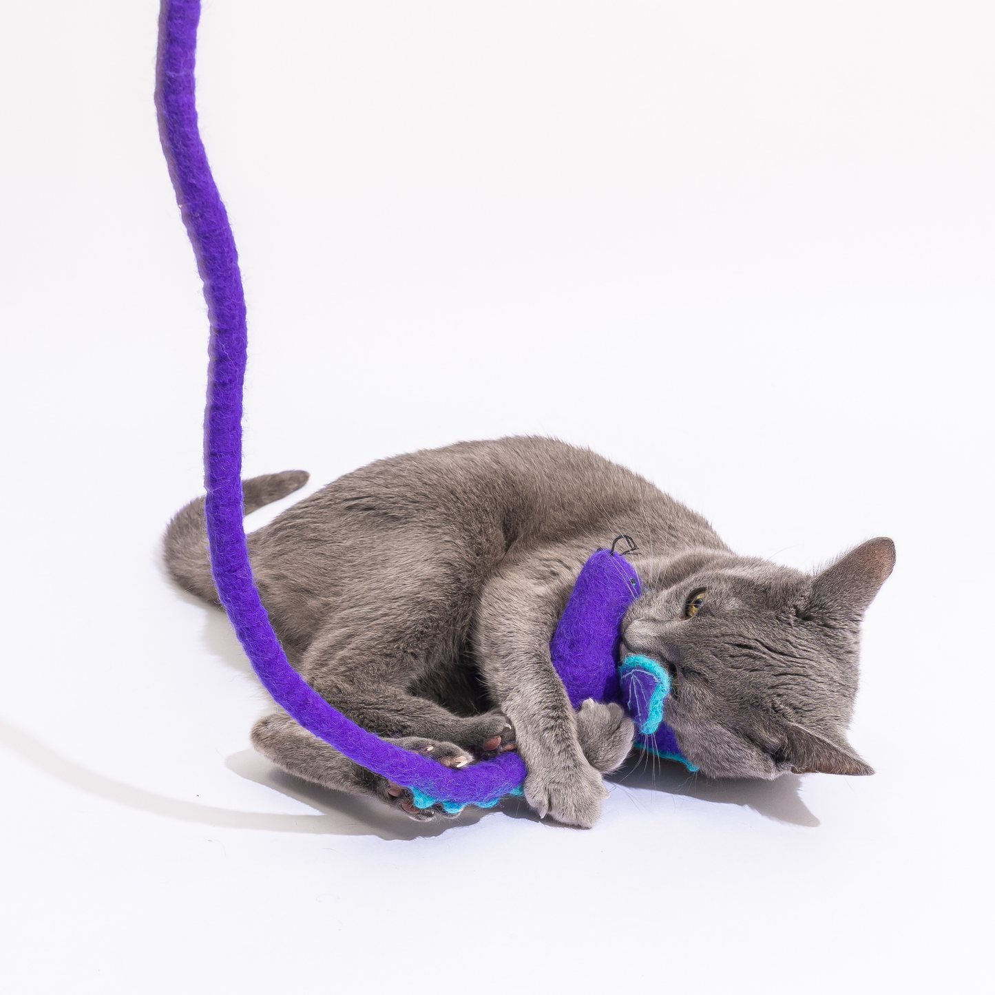 Wool Mouse Cat Toy 6-Foot-Tail - red rainbow unicorn dragon: Purple dragon