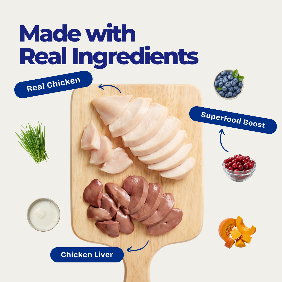 Freeze-Dried Chicken Lollipops - Cat & Dog Treats