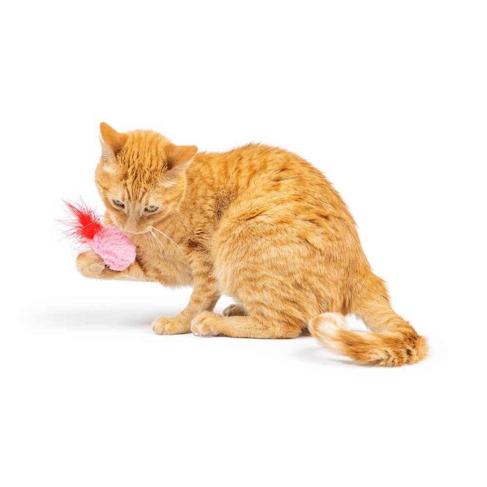 Love Bugs 2pk Cat Toy: One Size