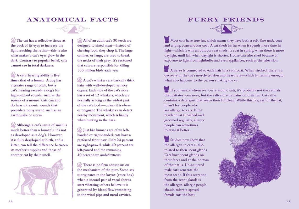 Little Book of Lore for Cat Lovers by Deborah Robertson: Hardcover; 144 pages / English