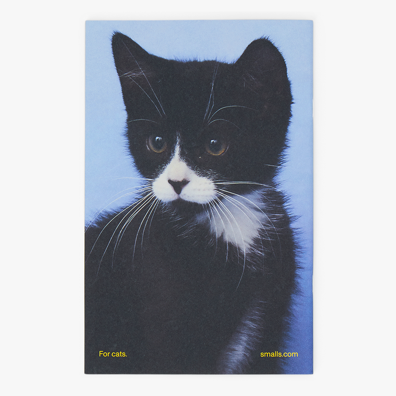Cat Parenthood Zine