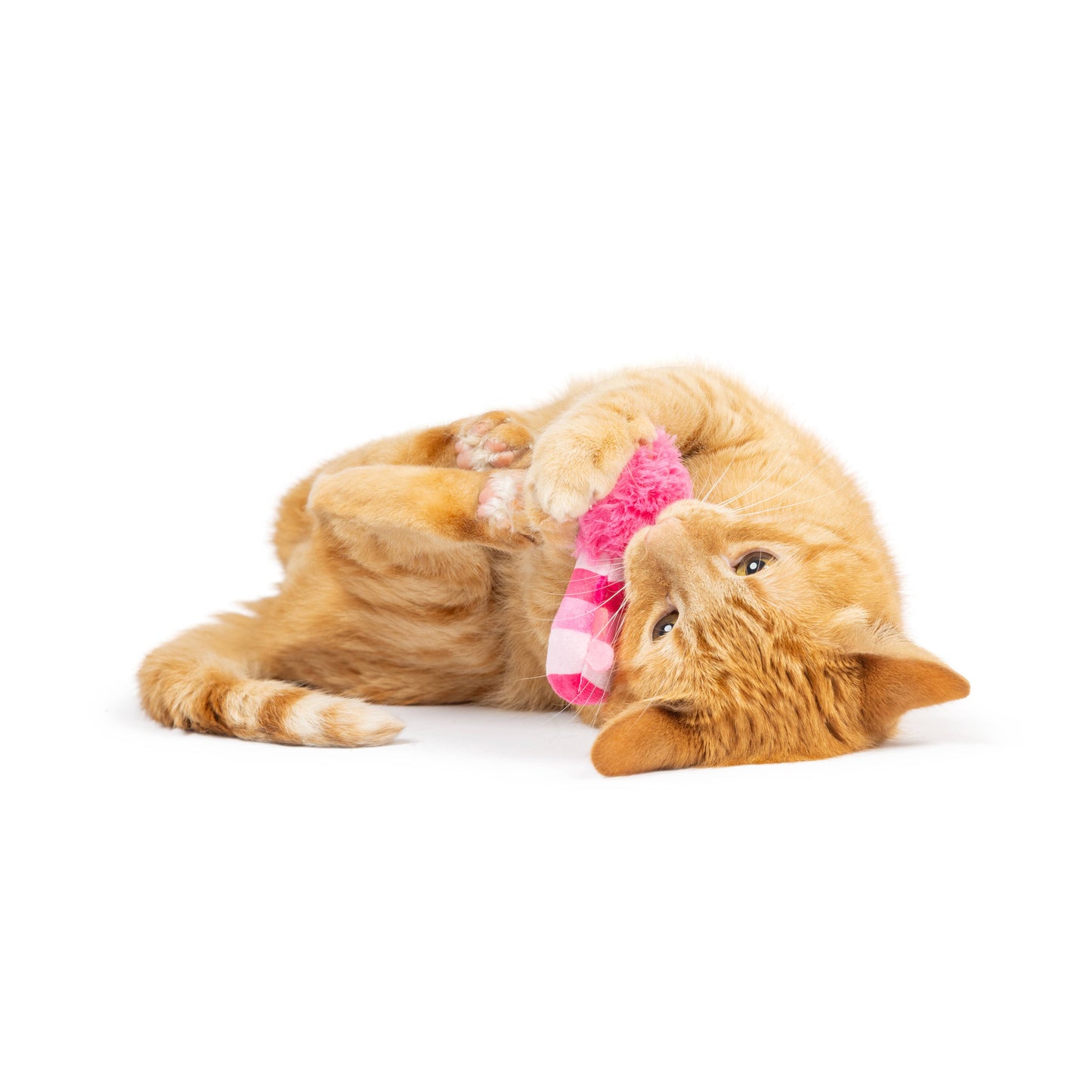 Love Bugs 2pk Cat Toy: One Size