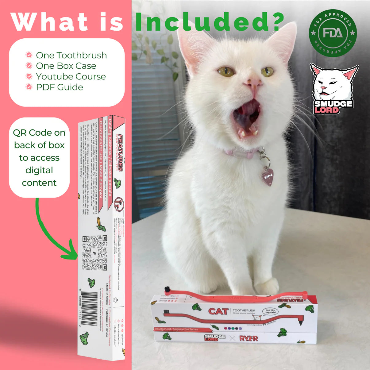 Dual Sided Cat Toothbrush - RYERCAT