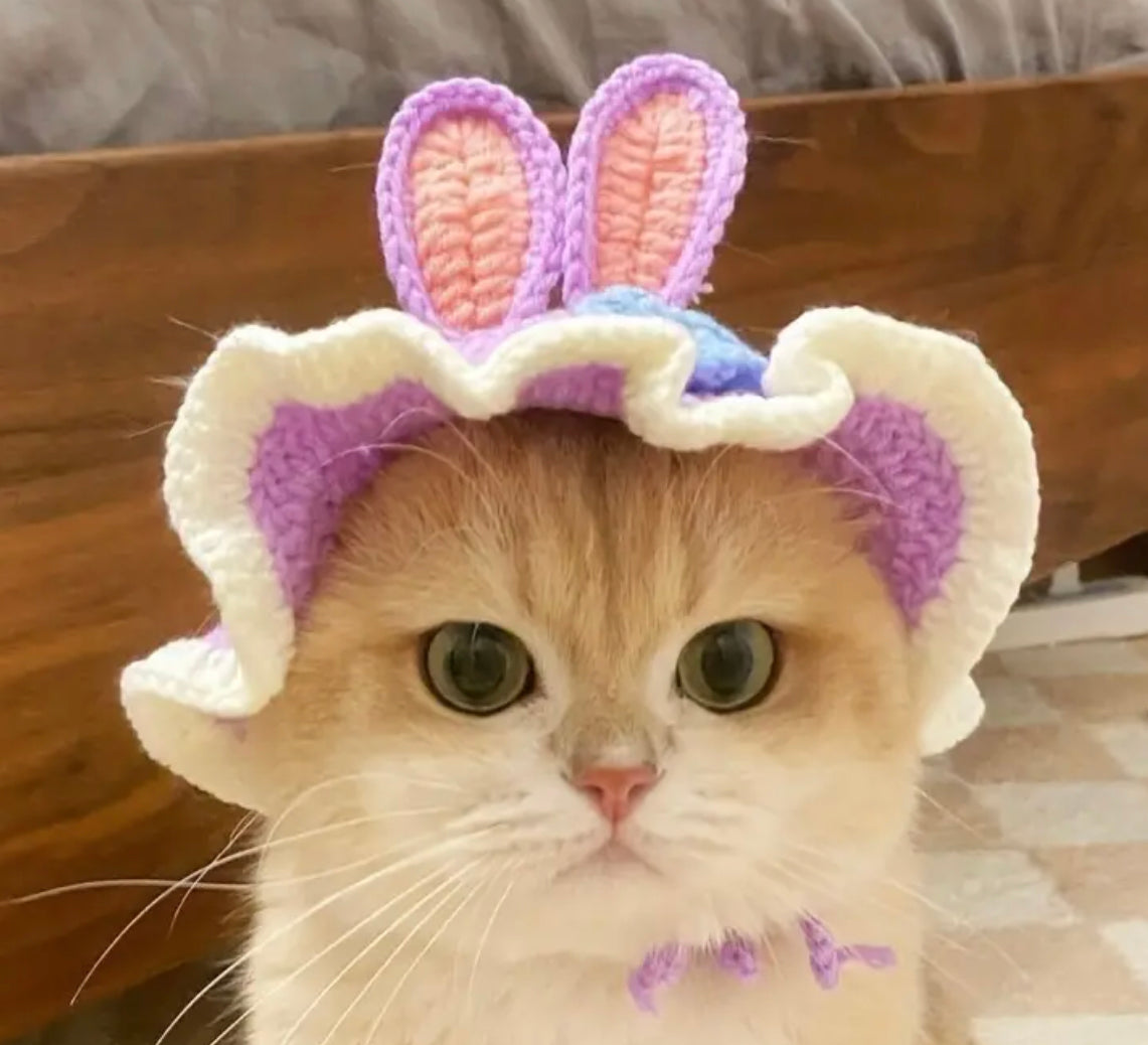 Bunny Cat Hat