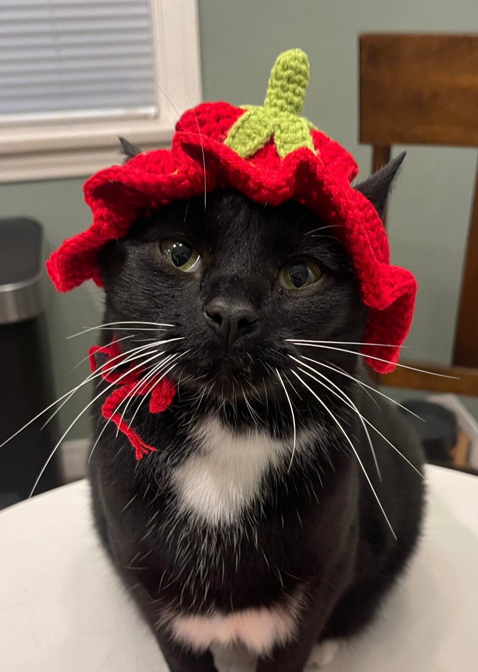 Strawberry Cat Hat