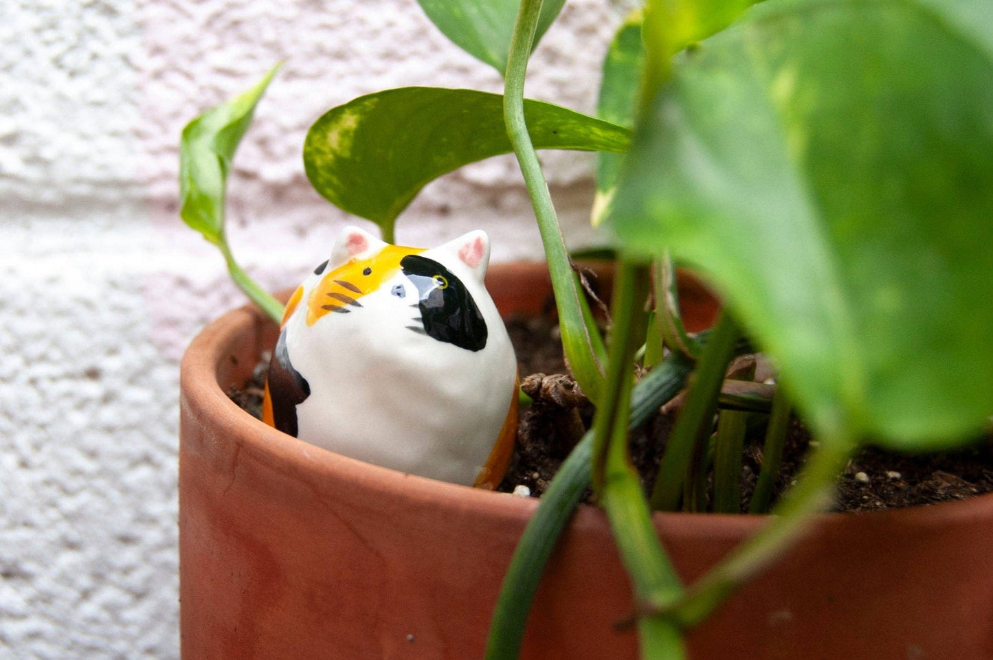 Cat Decorative Object